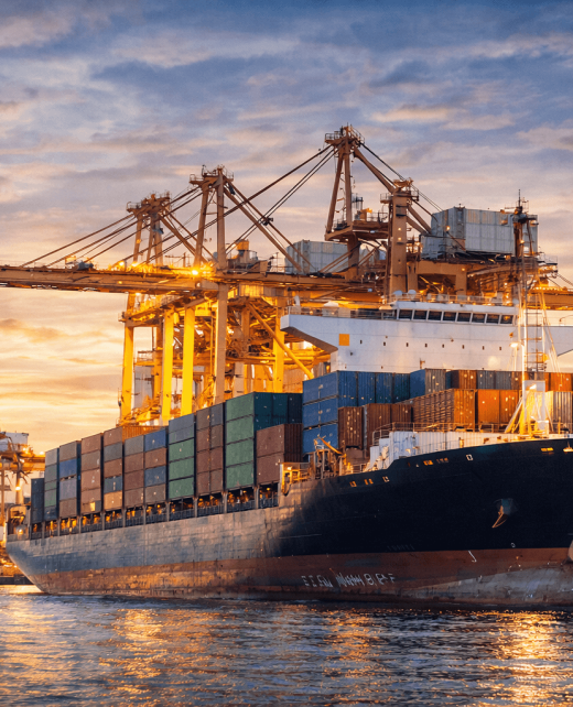 PORT AGENCY & VESSEL CLEARANCE